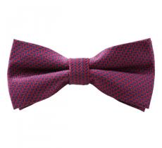 Noeuds papillon Satin